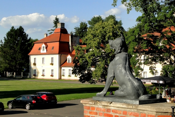 Zdjęcie z Polski - Kórnik - zamek i arboretum