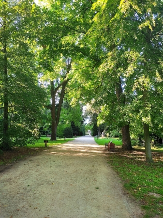 Zdjęcie z Polski - Kórnik - zamek i arboretum
