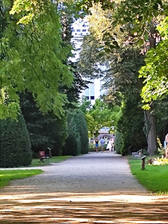 Zdjęcie z Polski - Kórnik - zamek i arboretum