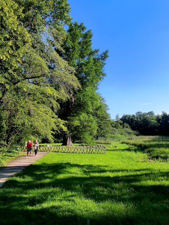 Zdjęcie z Polski - Kórnik - zamek i arboretum