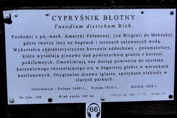 Zdjęcie z Polski - Kórnik - zamek i arboretum
