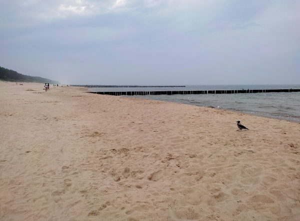 Zdjęcie z Polski - Plaża w Dziwnówku.