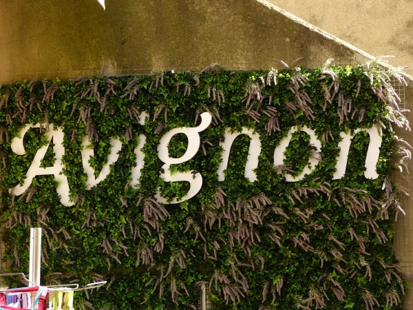 Zdjęcie z Francji - Witajcie w Avignon 