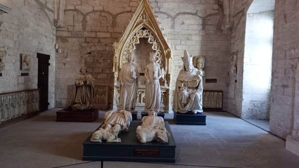 Zdjęcie z Francji - we wnętrzach Palais du Papes