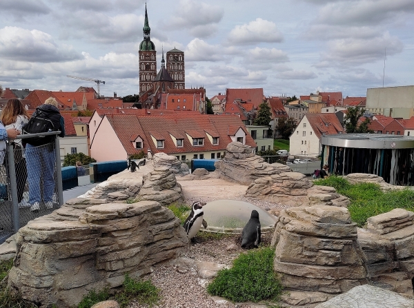 Zdjęcie z Niemiec - Stralsund