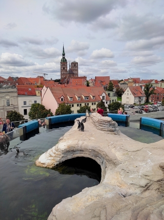 Zdjęcie z Niemiec - Stralsund