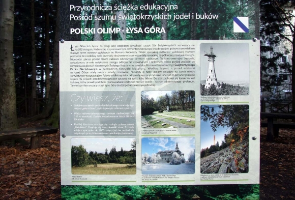 Zdjęcie z Polski - 