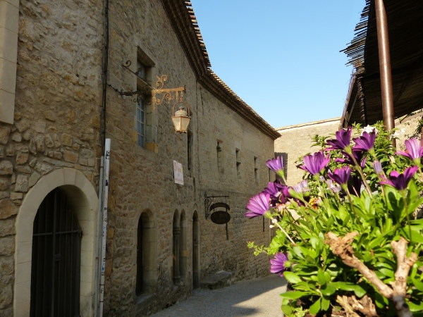 Zdjęcie z Francji - spacerkiem po wietrznym Carcassonne