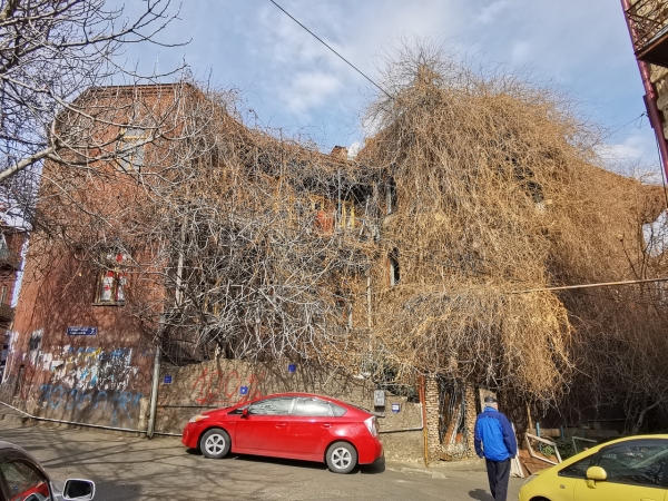Zdjęcie z Gruzji - 