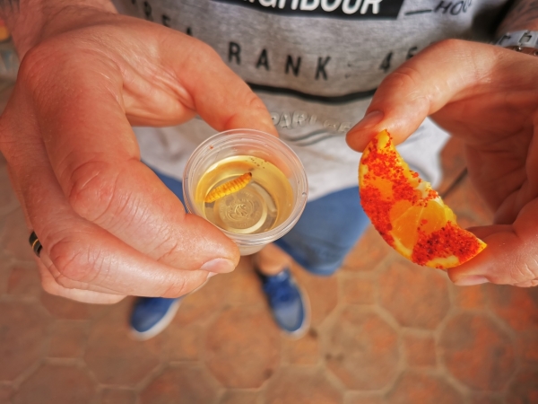 Zdjęcie z Meksyku - 