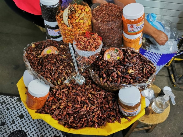 Zdjęcie z Meksyku - 