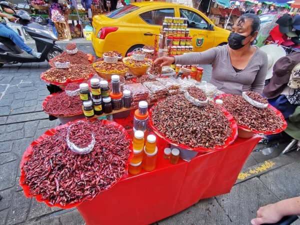 Zdjęcie z Meksyku - 