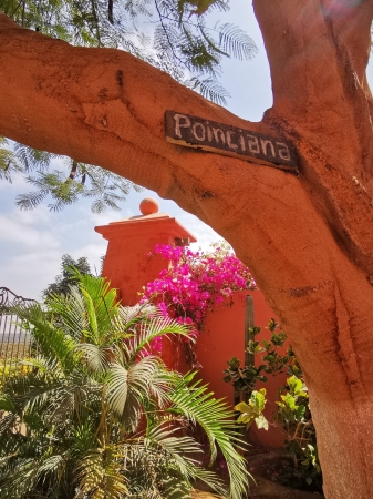 Zdjęcie z Peru - 