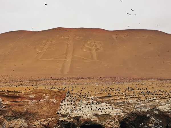 Zdjęcie z Peru - 