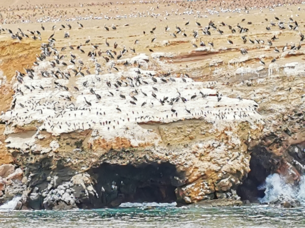 Zdjęcie z Peru - 