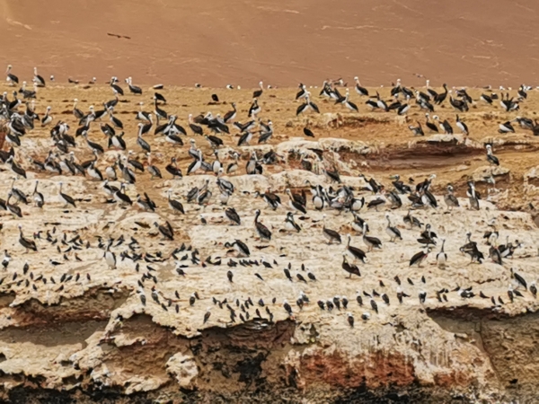 Zdjęcie z Peru - 