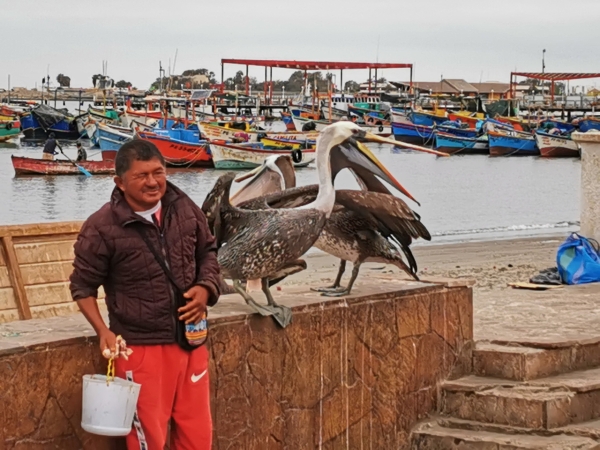 Zdjęcie z Peru - 