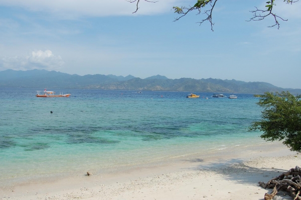 Zdjęcie z Indonezji - 