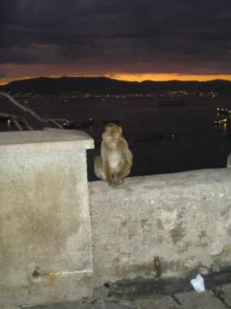 Zdjęcie z Hiszpanii - Gibraltar