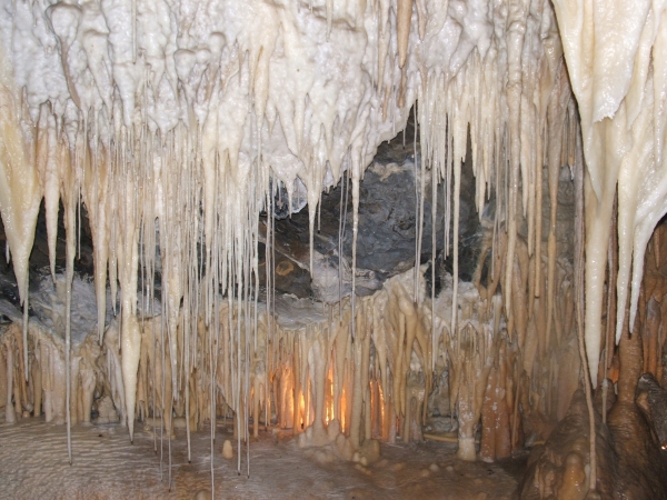 Zdjęcie z Australii - King Solomon Cave