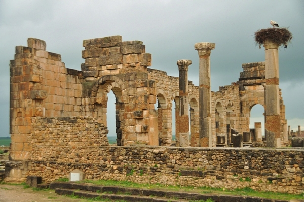 Zdjęcie z Maroka - Ruiny w Volubilis