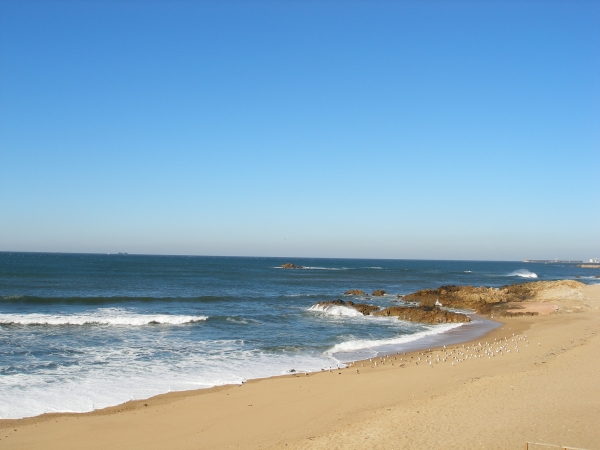 Zdjęcie z Portugalii - plaża w Porto
