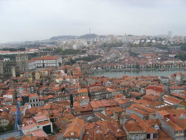 Zdjęcie z Portugalii - Porto - widok z wieży