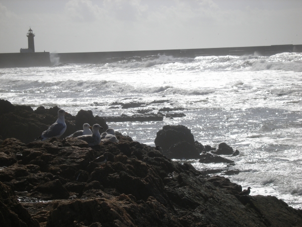 Zdjęcie z Portugalii - 