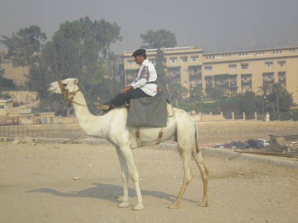 Zdjęcie z Egiptu - Giza