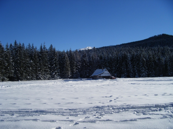 Zdjecie - Polska - Zakopane