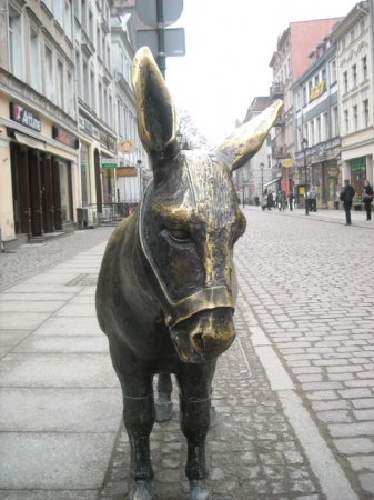 Zdjecie - Polska - Toruń
