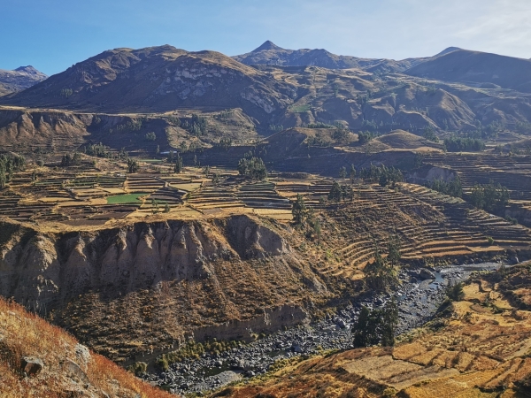 Zdjęcie z Peru - 