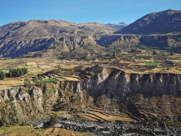 Zdjęcie z Peru - 