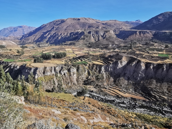 Zdjęcie z Peru - 