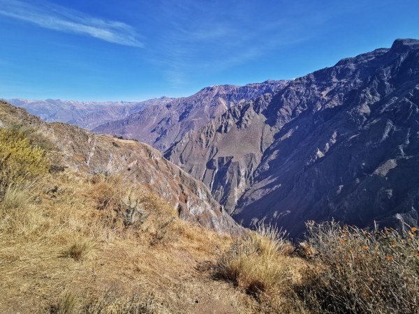 Zdjęcie z Peru - 