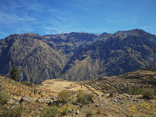 Zdjęcie z Peru - 