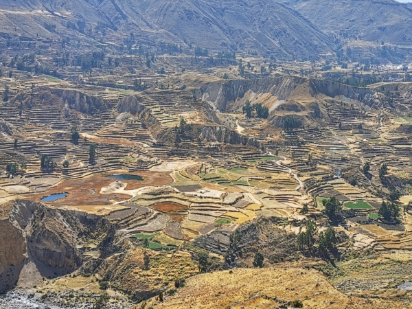 Zdjęcie z Peru - 