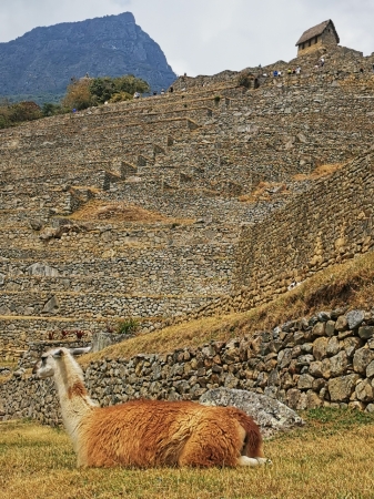 Zdjęcie z Peru - 