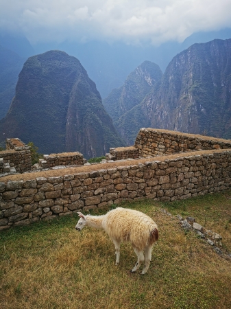 Zdjęcie z Peru - 