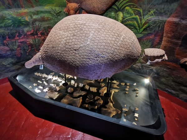 Zdjęcie z Peru - 