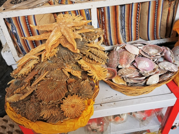 Zdjęcie z Peru - 