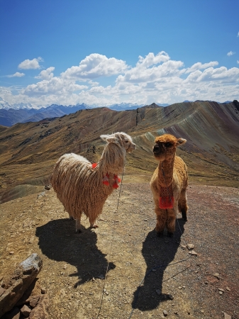 Zdjęcie z Peru - 