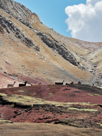 Zdjęcie z Peru - 