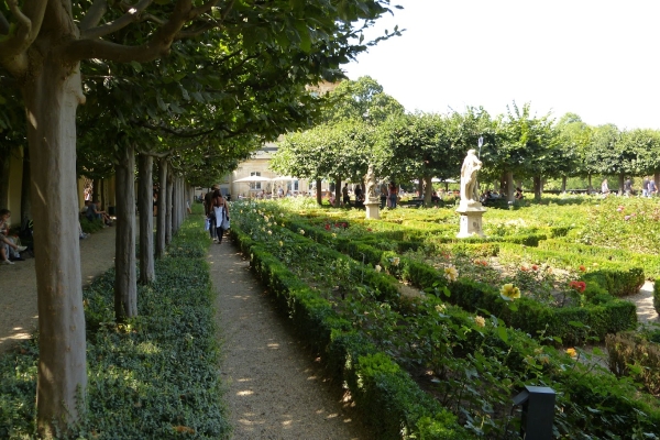 Zdjęcie z Niemiec - na tyłach Residenz- mały , ale urokliwy Ogród Różany 