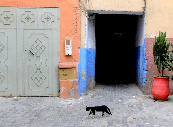 Zdjęcie z Maroka - Taroudant