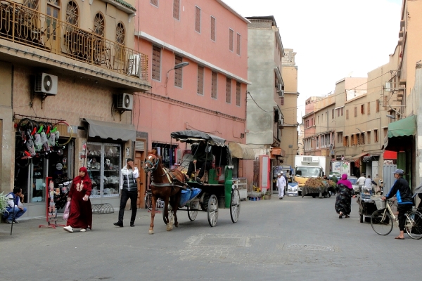 Zdjęcie z Maroka - Taroudant