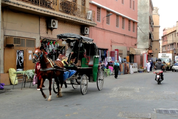 Zdjęcie z Maroka - Taroudant