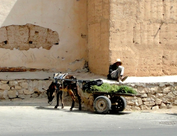 Zdjęcie z Maroka - Taroudant