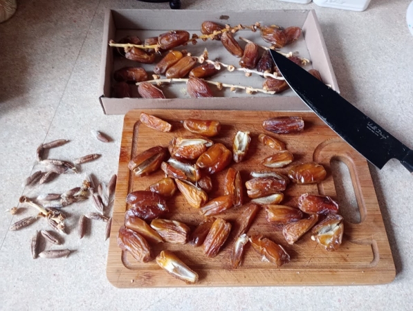 Zdjęcie z Tunezji - totalnie zakochana w tunezyjskich daktylach przywiozłam do domu całe kilogramowe pudło; część z nich