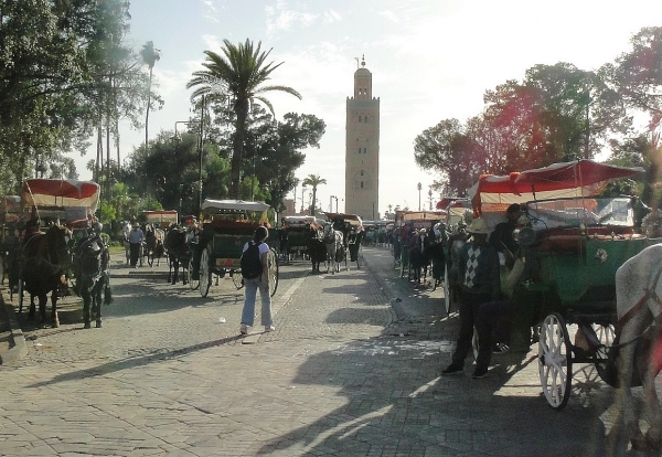 Zdjęcie z Maroka - Marrakesz